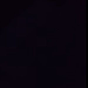 Meet your Posher, Bella